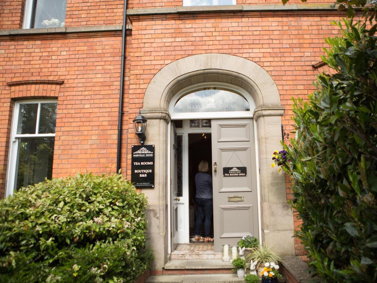 Maryville House Belfast Exteriör bild